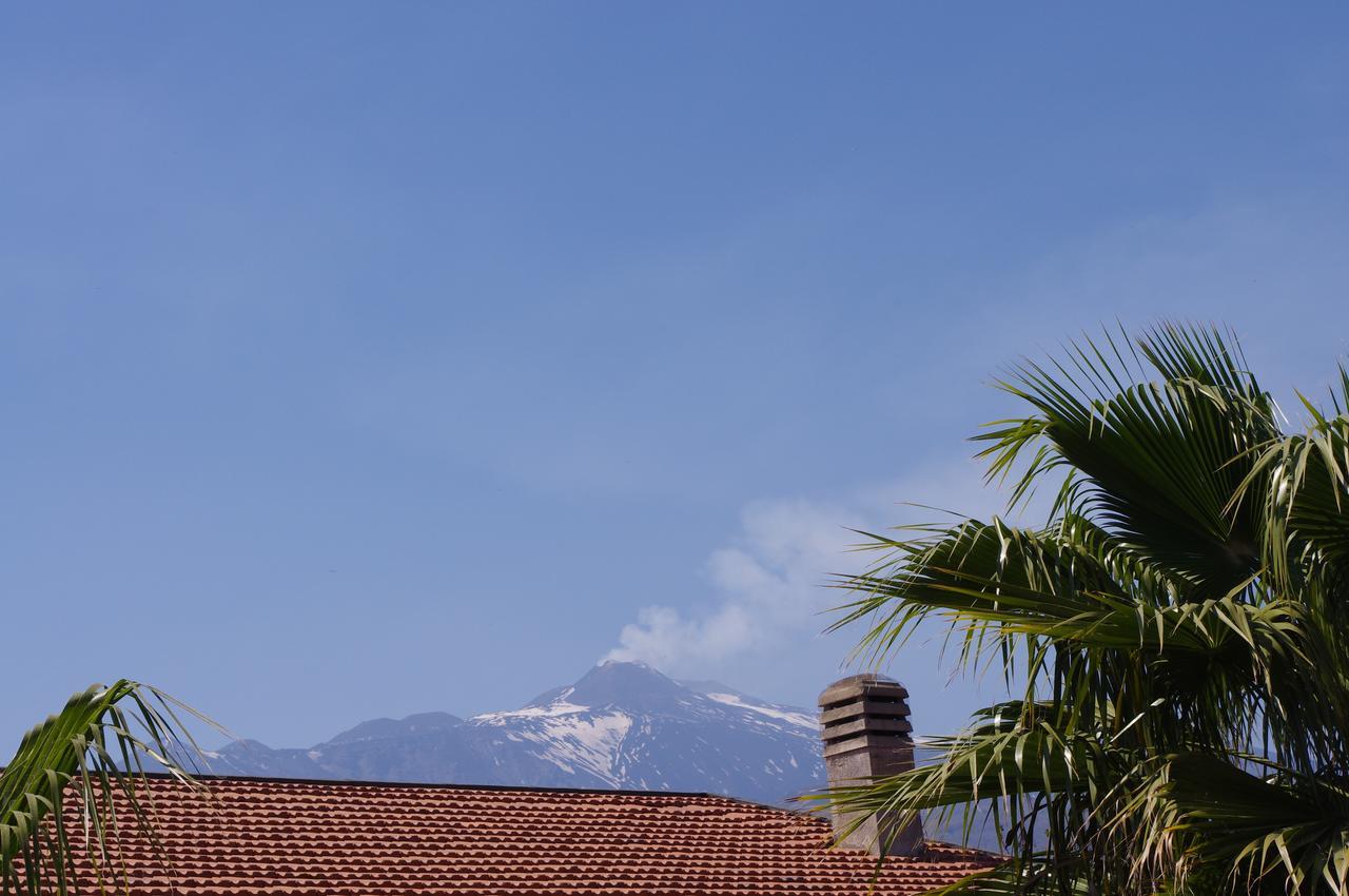 Отель Gli Ulivi Dell'Etna Linera Экстерьер фото